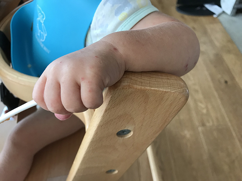 f:id:marikobookmark:20190723125145j:plain